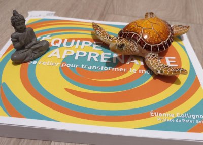 Deux objets sur le livre de l'équipe apprenante